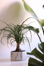 Carica l'immagine nel visualizzatore di Gallery, VASO PASCAL EFFETTO MARMO